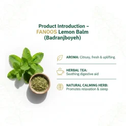 خرید بادَرَنج‌بویه خشک ایرانی | ملیسا (Lemon Balm) با کیفیت صادراتی – FANOOS