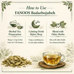 خرید بادَرَنج‌بویه خشک ایرانی | ملیسا (Lemon Balm) با کیفیت صادراتی – FANOOS
